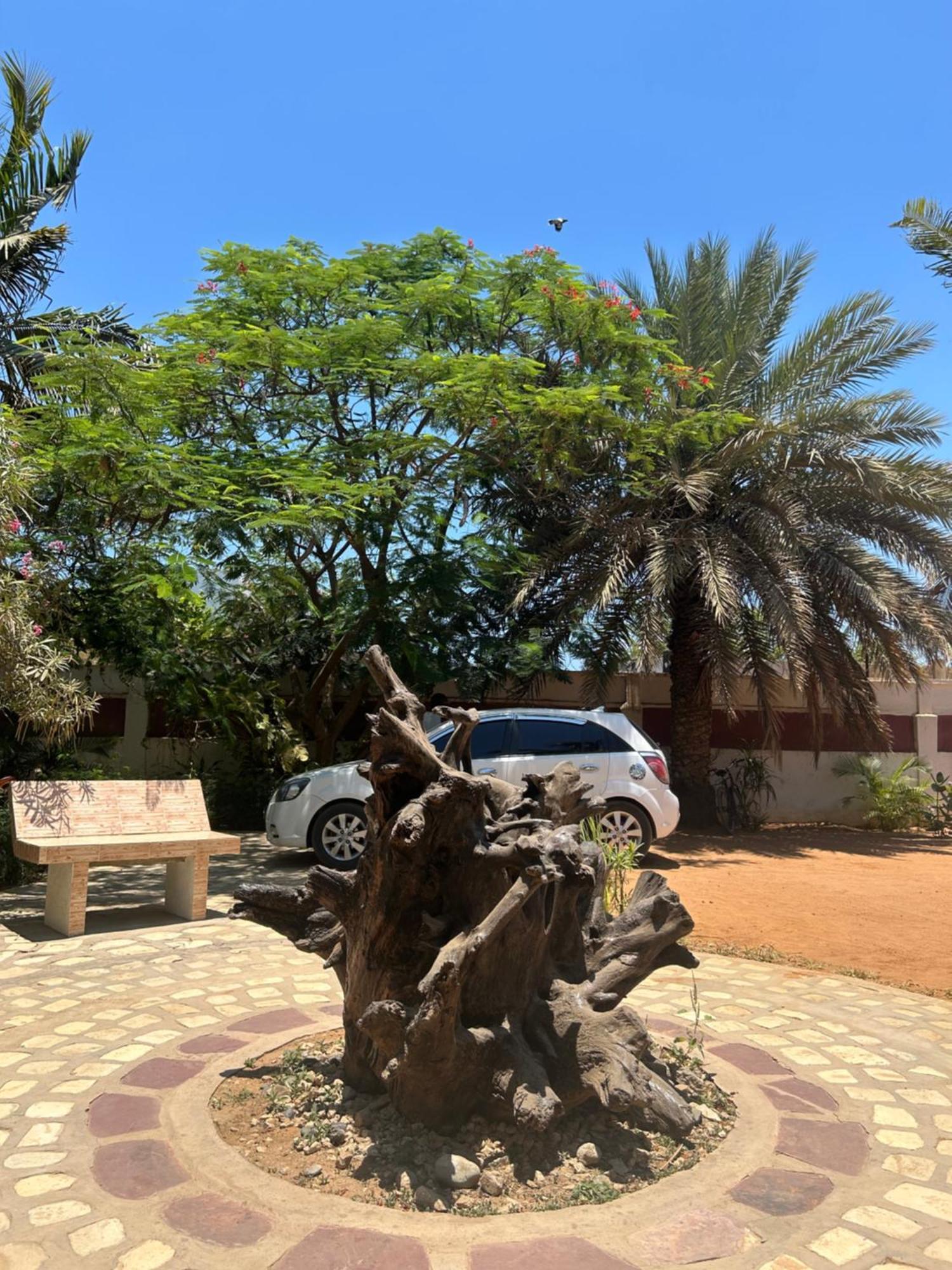 图利亚拉Bohobe Naboty住宿加早餐旅馆 外观 照片