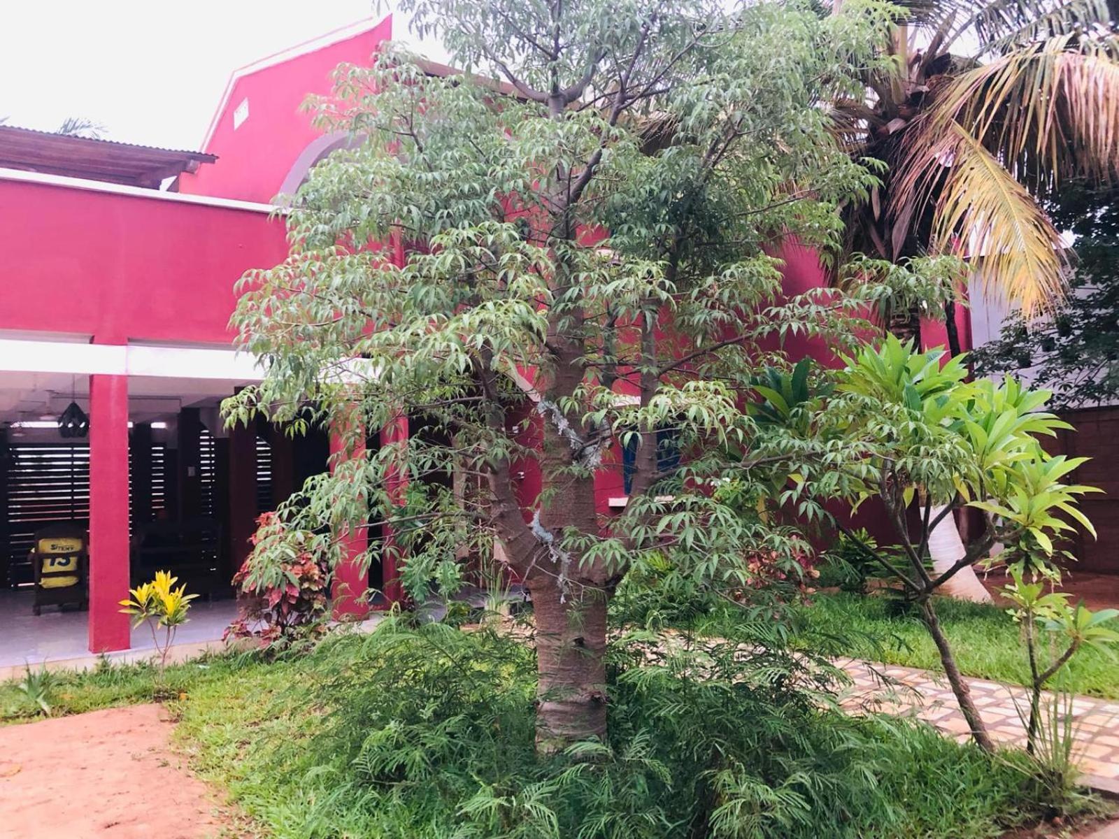图利亚拉Bohobe Naboty住宿加早餐旅馆 外观 照片